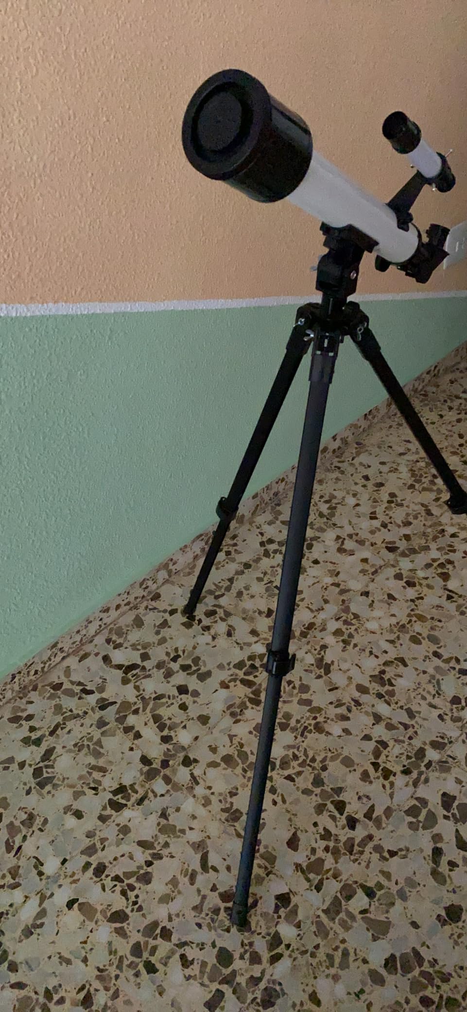 Pas mal du tout
