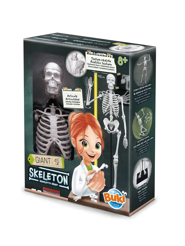 buki-2180-squelette-45-cm-articul-anatomie-d-s-8-ans image 1
