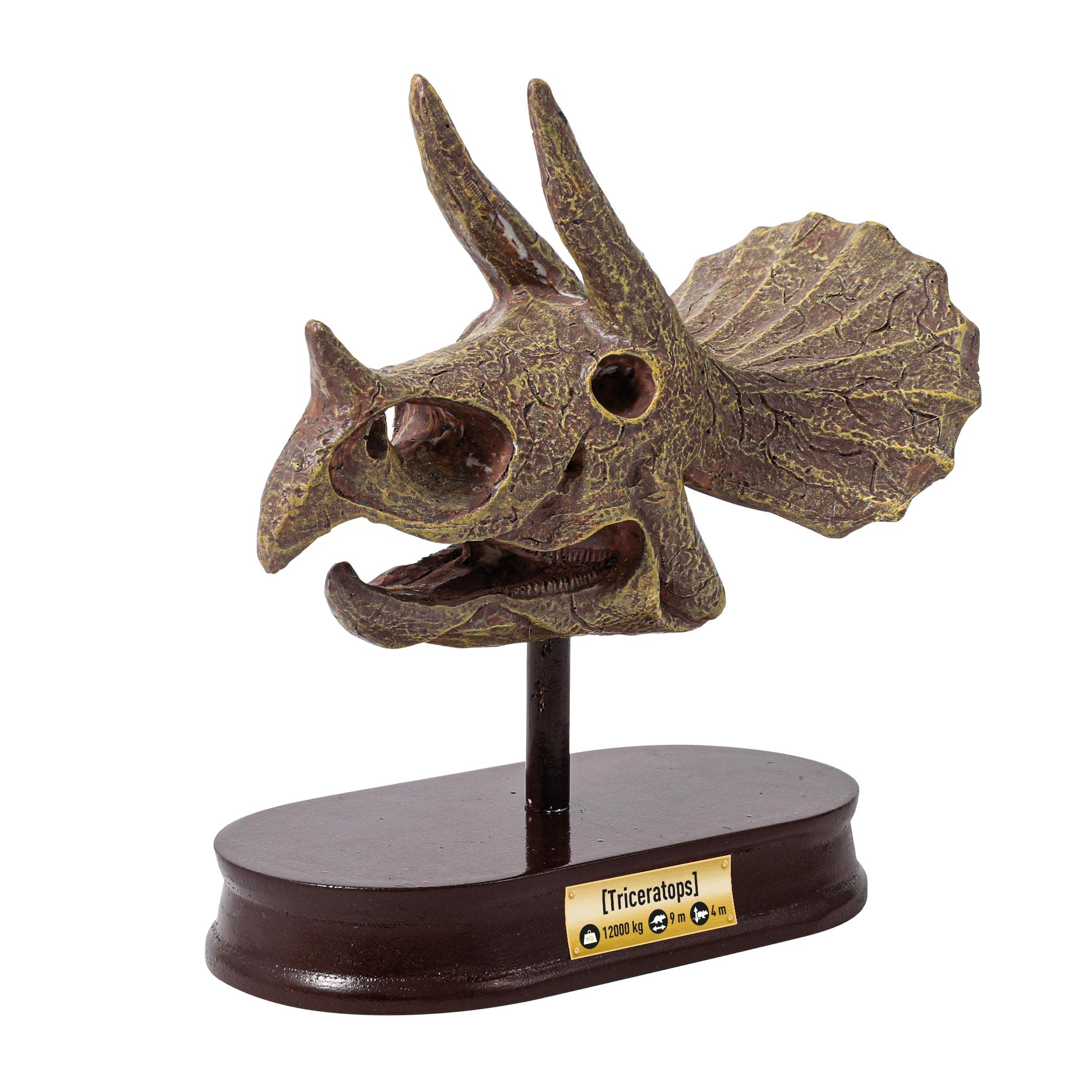 buki-science-2131-cr-ne-dino-tric-ratops-fouiller-8-ans image 4