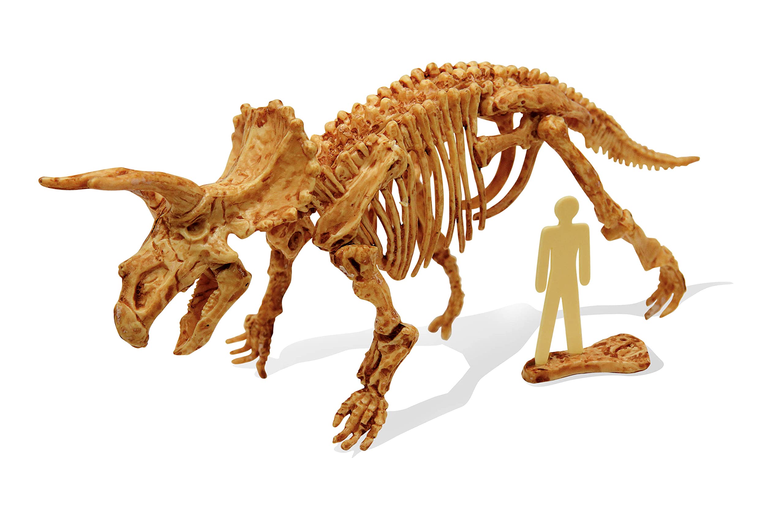 buki-dinokit-tric-ratops-kit-fouille-squelette-8-ans image 3