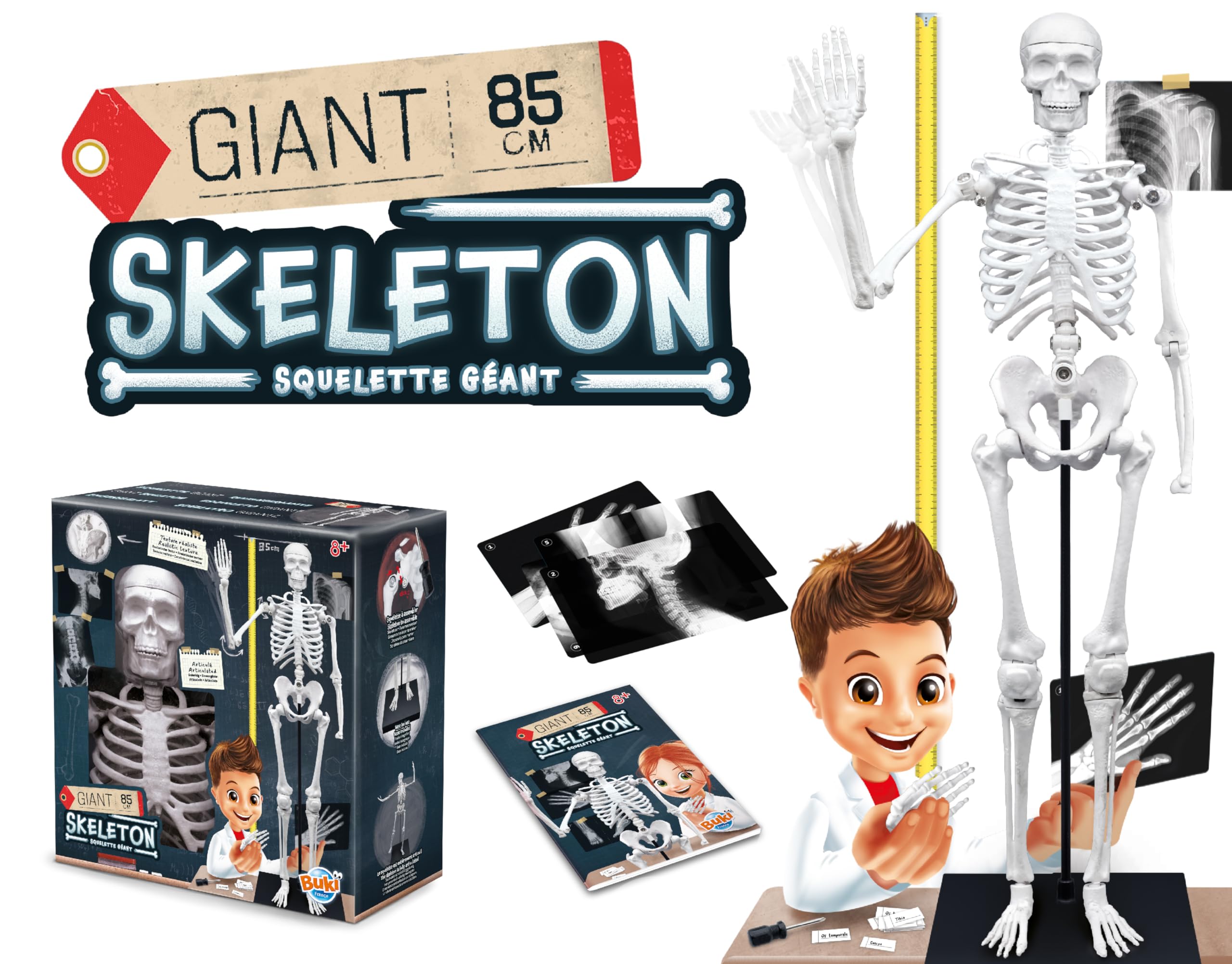 buki-2181-squelette-g-ant-85-cm-articul-anatomie-8-ans image 2