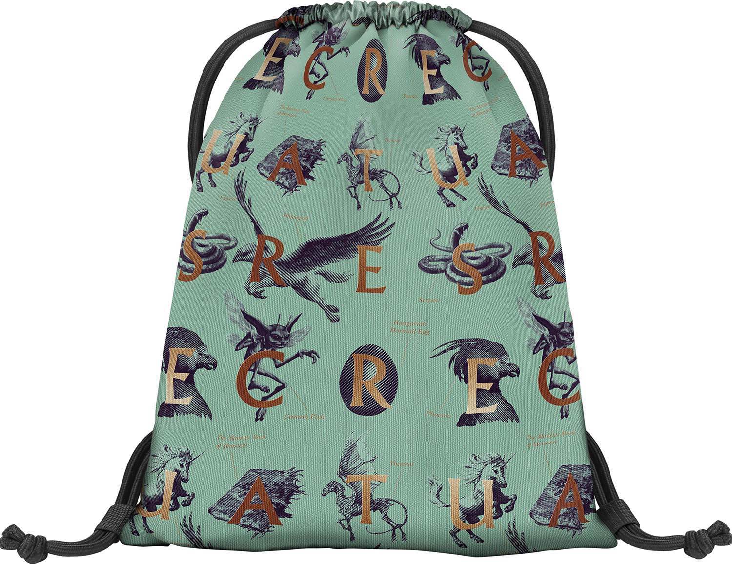 baagl-harry-potter-fantastic-beasts-sac-gym-cordon image 1