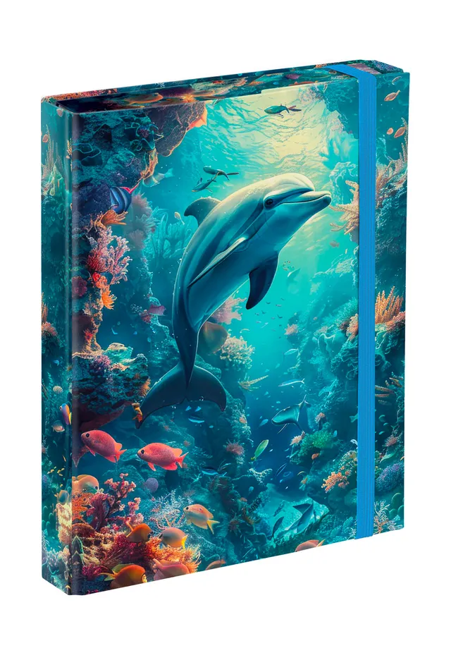 baagl-notebook-folders-chemise-a5-dolphin-lastique image 1