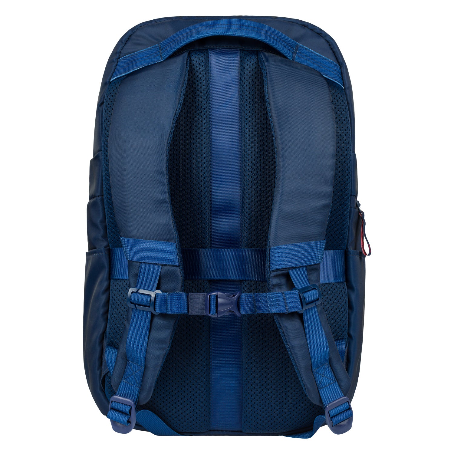 baagl-eggy-big-navy-sac-dos-l-ger-750-g-bleu image 4