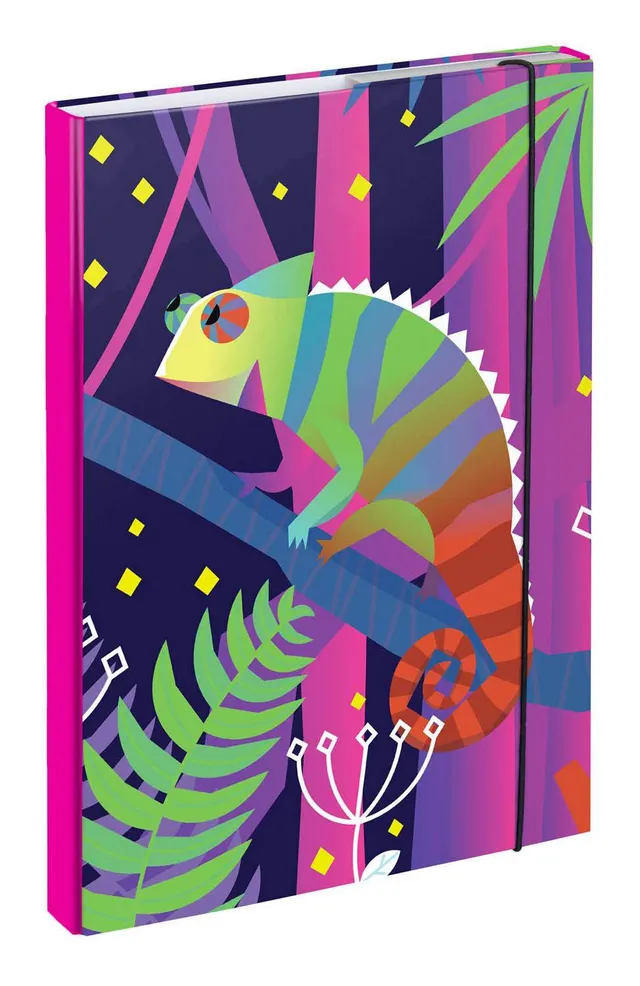 baagl-chameleon-heftbox-chemise-a4-cam-l-on-lastique image 1