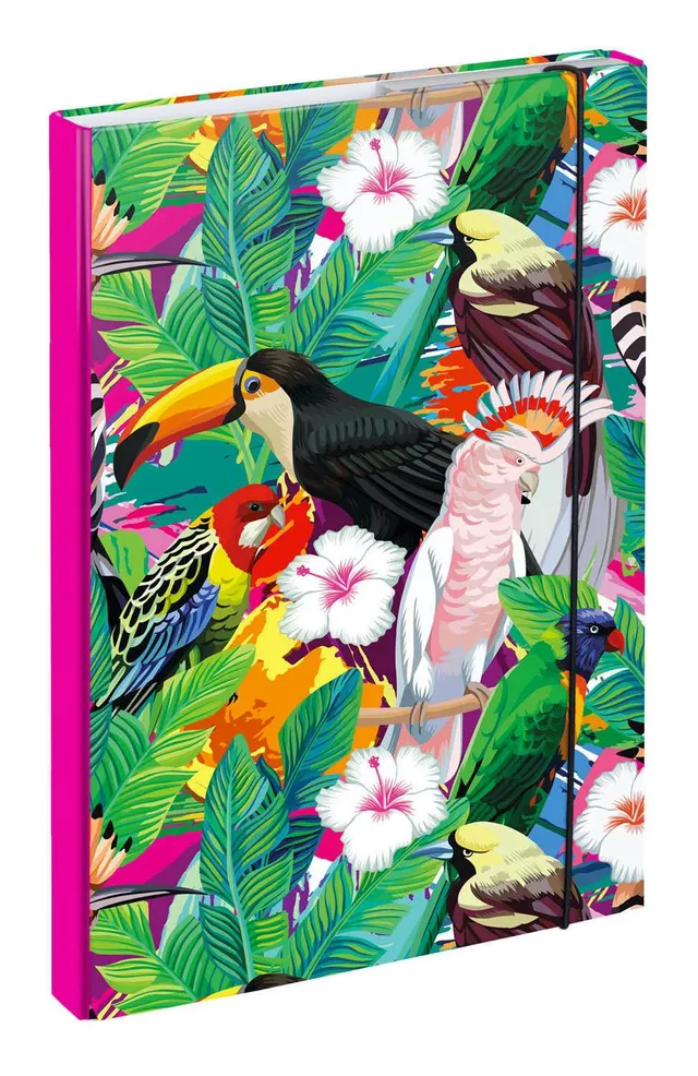 baagl-toucan-chemise-a4-prot-ge-cahiers-avec-lastique image 1