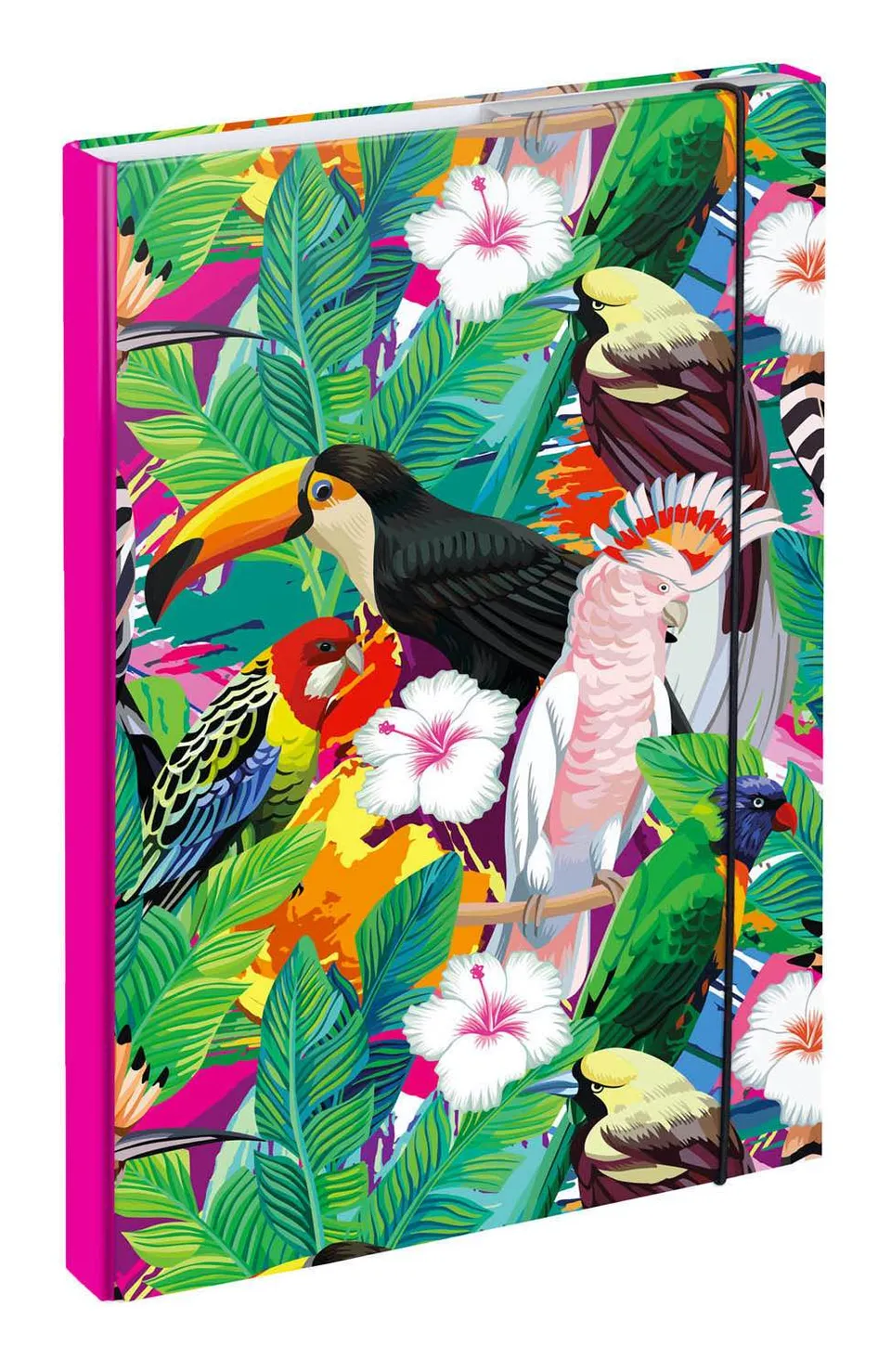 baagl-toucan-chemise-a4-prot-ge-cahiers-avec-lastique image 1